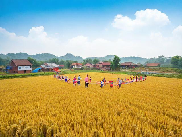 九游体育网站_ 丰收季节乡村运动会，体会乡土文化的独特魅力，农民丰收节运动会项目