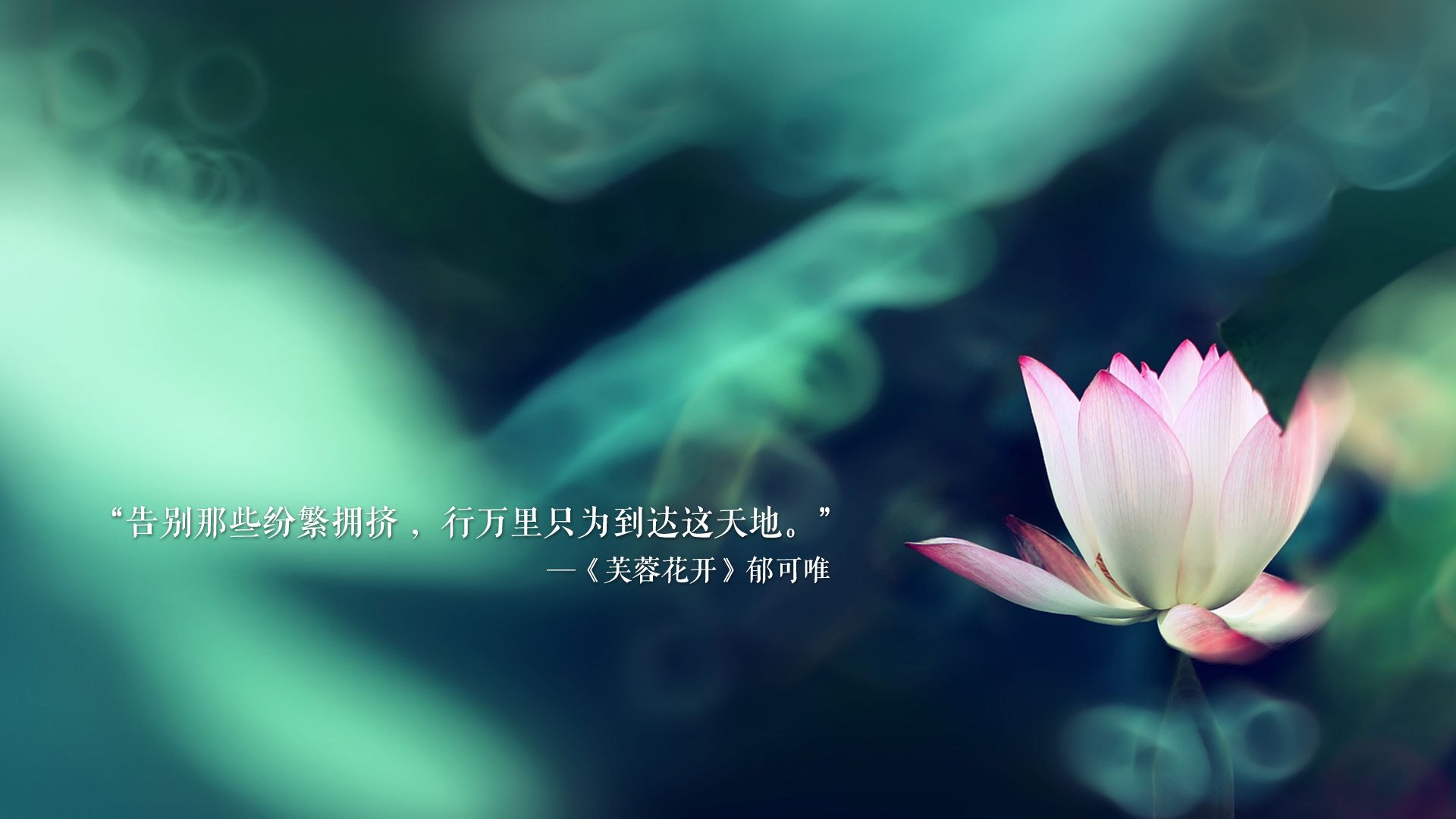 史上最伟大的“战术大师”的幕后策划，战术大师是谁