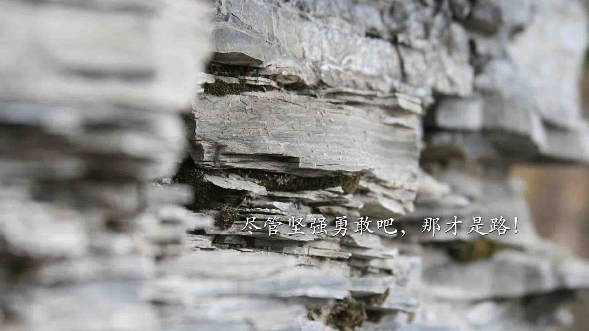 上海申花主场失利，球队前景堪忧，上海申花球队怎么样