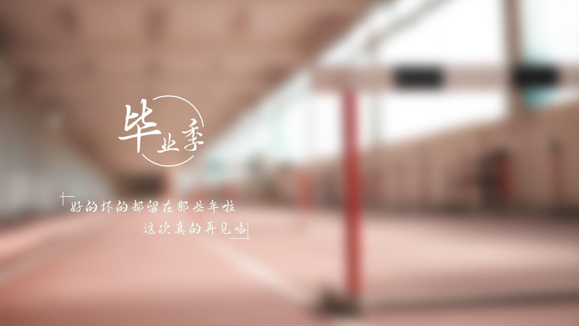 首尔SK骑士关键时刻表现冷静，首尔sk骑士直播