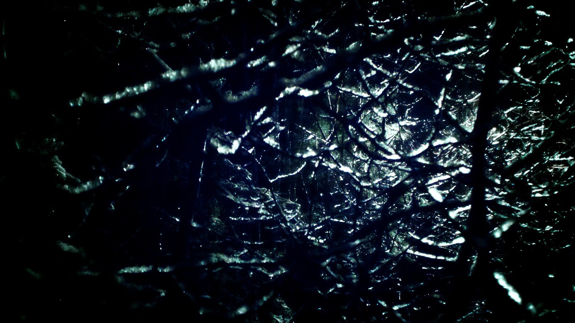 中国女排提前出线奥运会，中国女排将出征奥运