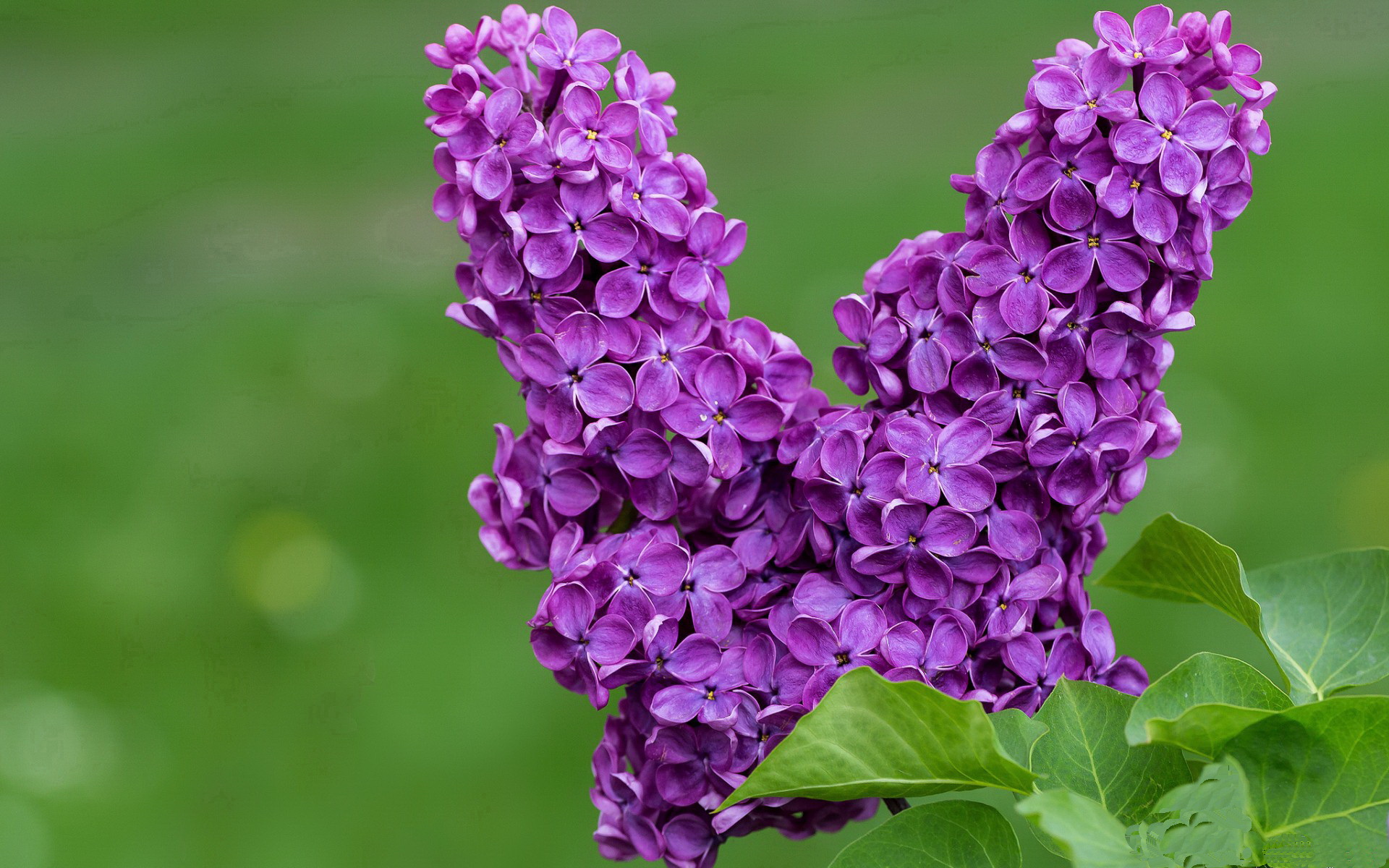 中国足球国家队体能恢复计划科学化实施，国家足球队体能标准