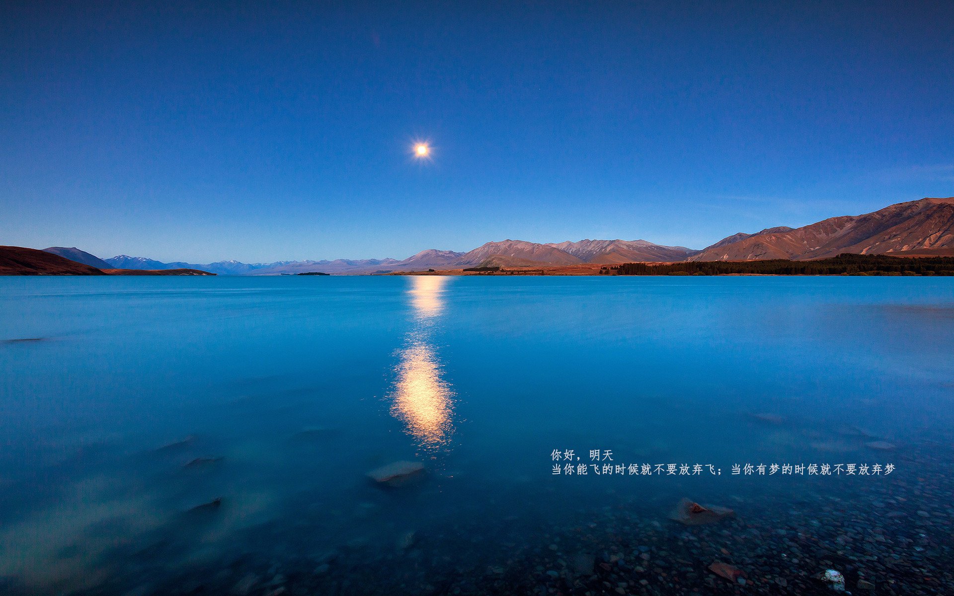 意甲快速反击：瞬间突破，场面壮观！，意甲意甲