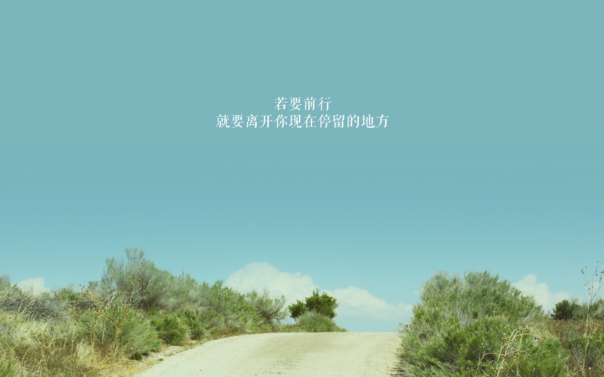 英超联赛的粉丝需求调研报告，英超粉丝最多的球队