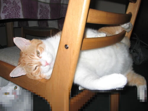 队员配合默契明显提升快速反击成为主要得分手段之一，队员之间的配合