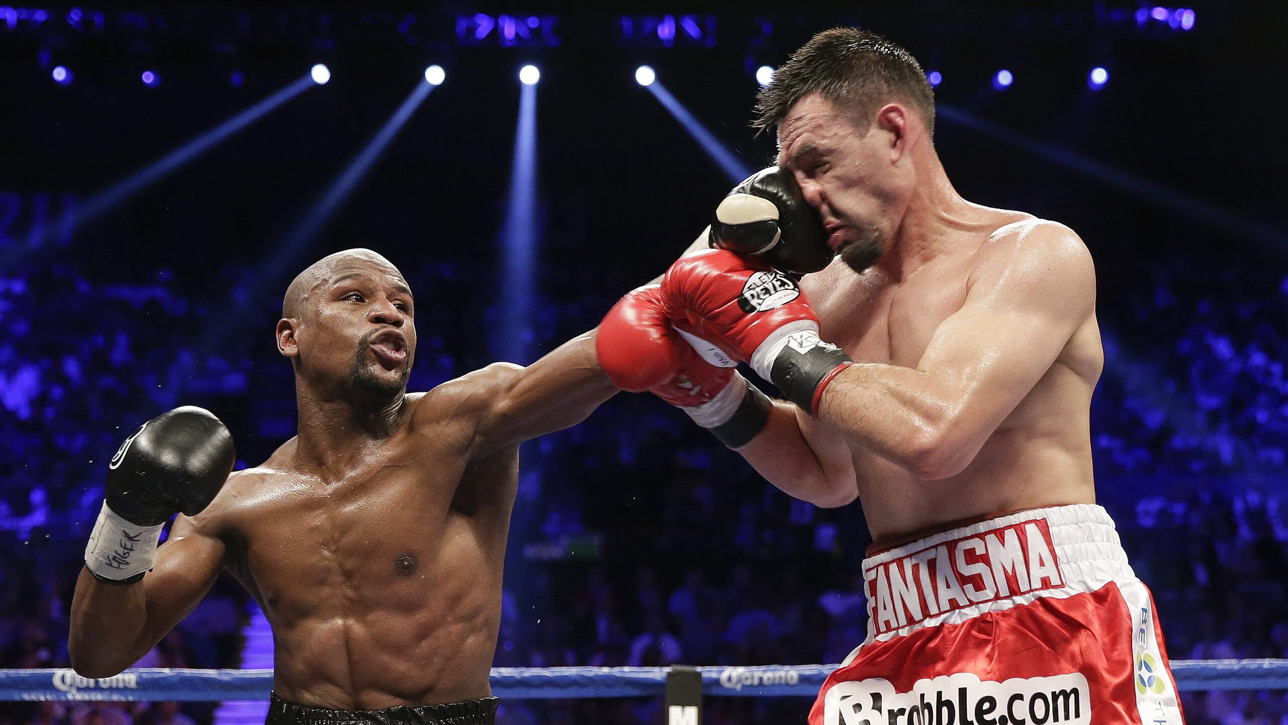 瑞士马术协会举办“马术与文化”展览，展示马术与瑞士传统文化的融合。